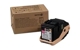 Toner Xerox 106R02607-0