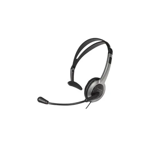 PANASONIC slušalice RP-TCA430E-S srebrne-0