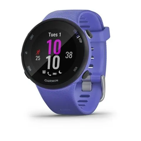 GARMIN Forerunner 45S Iris-0