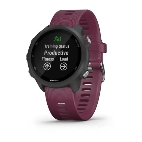 GARMIN Forerunner 245 Black Berry-0