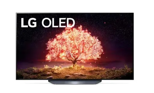 LG OLED TV OLED55B13LA-0