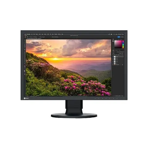 MON 24 EIZO CS2400S IPS-0