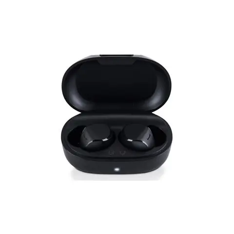 PANASONIC slušalice RZ-B120WDE-K crne, wireless,BT-0