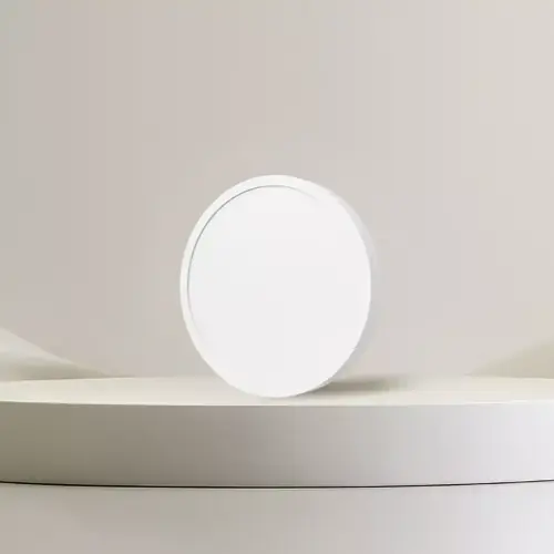 Xiaomi Smart Ceiling Light D20-1