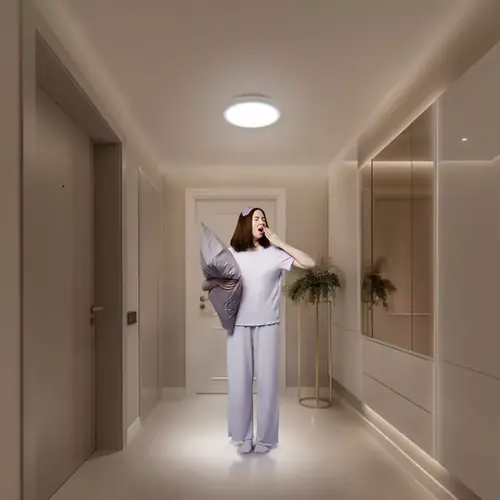 Xiaomi Smart Ceiling Light D20-2