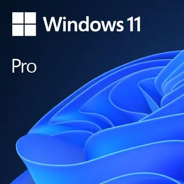 DSP Windows 11 Pro Eng 64-bit, FQC-10528-0