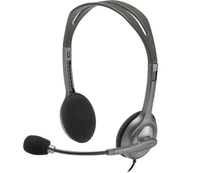Slušalice Logitech H110 Slušalice Logitech H110