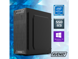 Stolno računalo Avenio ProOffice Intel Core i5 10400 2.90GHz 8GB 512GB NVMe SSD DVDRW W10P Intel UHD Graphics 630