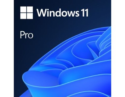 DSP Windows 11 Pro Eng 64-bit, FQC-10528 124214