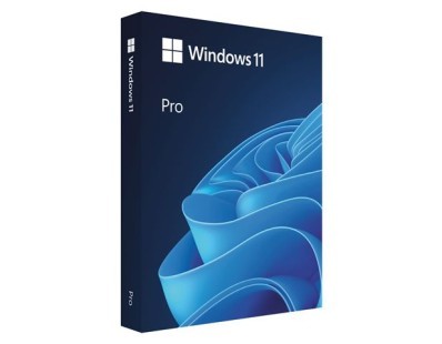 FPP Windows 11 Pro 64-bit Eng USB, HAV-00163 125645